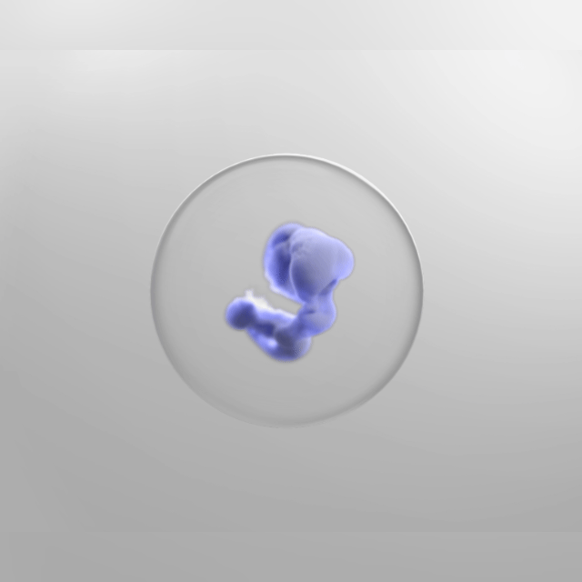 0528_3.gif