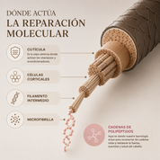 Mascarilla Capilar Reparadora con Péptidos Biomoleculares