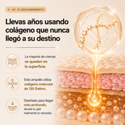 Ampolla Coreana de Colágeno Molecular