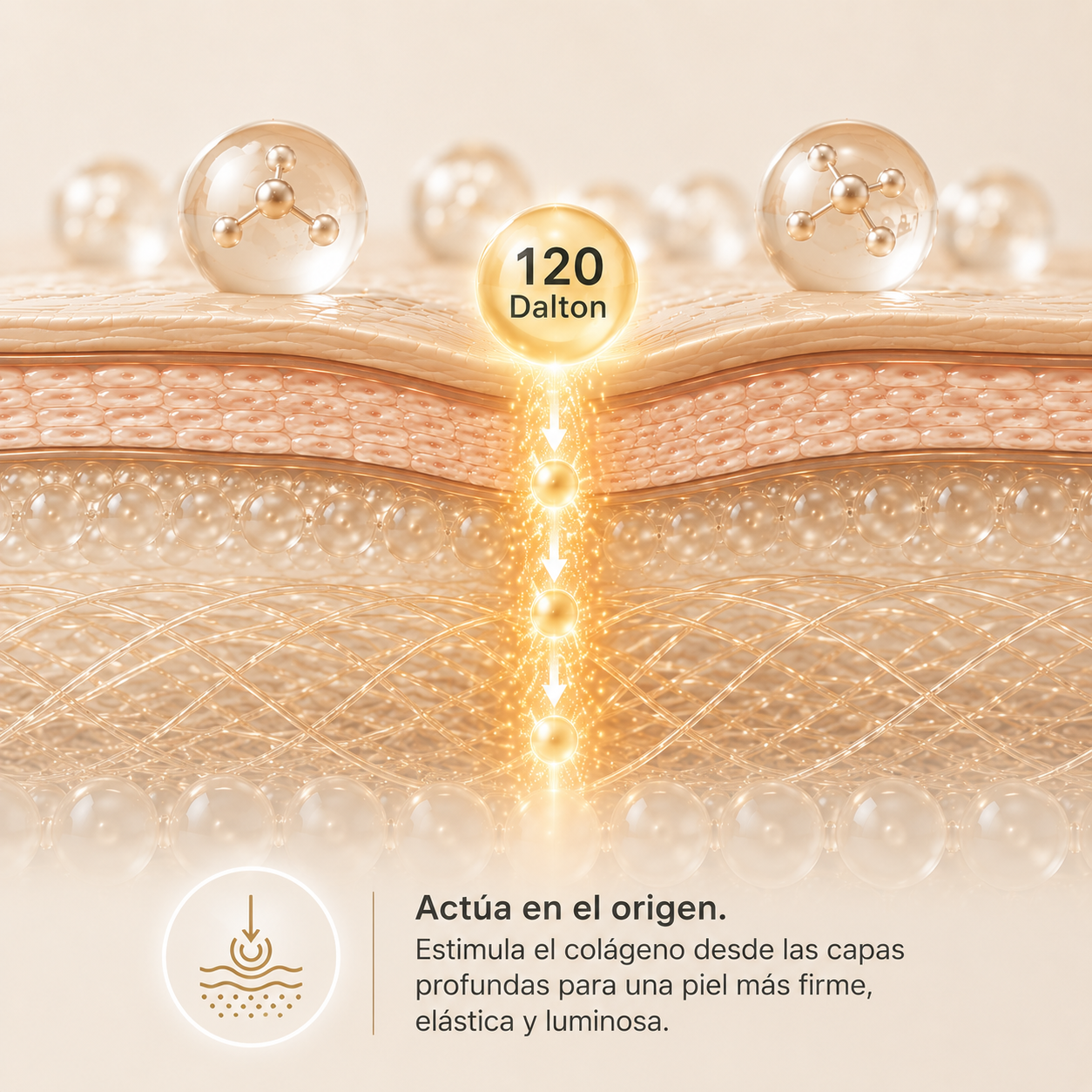 🧬 Colágeno 120 Dalton